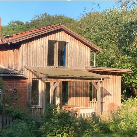 Natur Kunst Ferienhaus Neu Darchau Exteriör bild